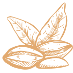 500-x-500-px-1.png