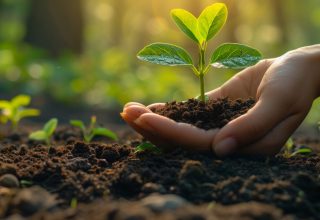 person-caring-protecting-mother-earth-earth-day